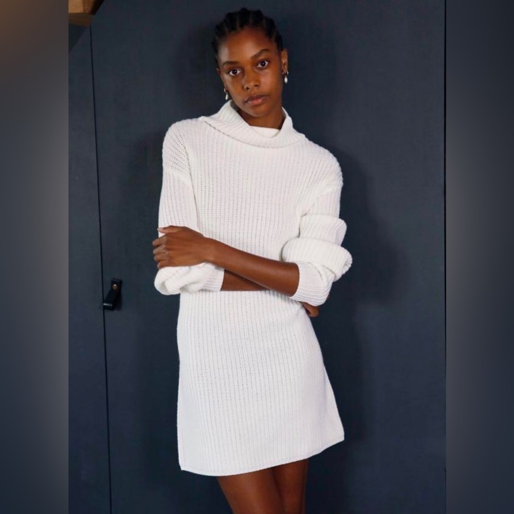 Aritzia Wilfred Montpellier Dress